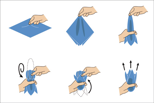 Image result for the dunaway fold