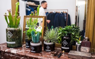 Vitamin plant for men